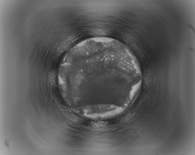 X0000101950359200808081510