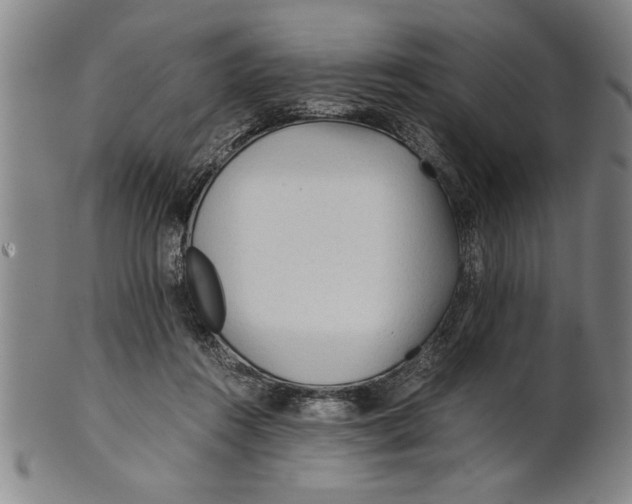 X0000101950360200808081511