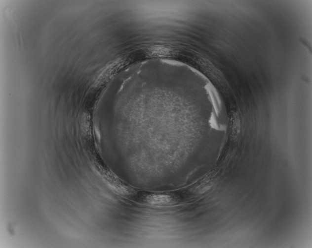 X0000101950361200808081511