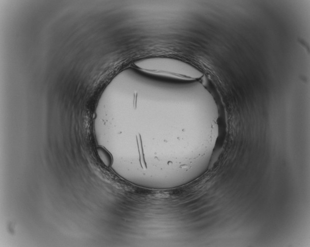 X0000101950362200808081511