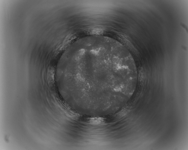 X0000101950363200808081511