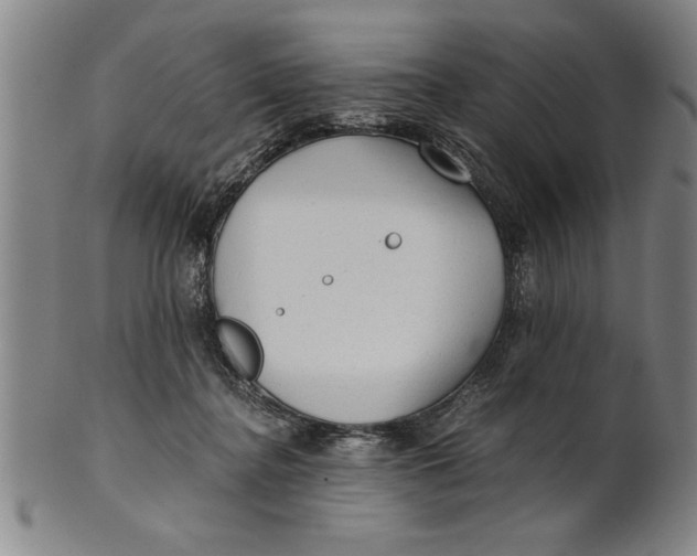 X0000101950364200808081511