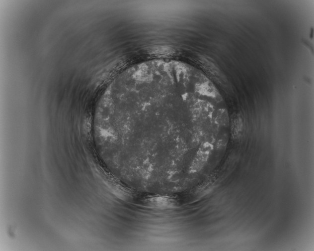 X0000101950365200808081511