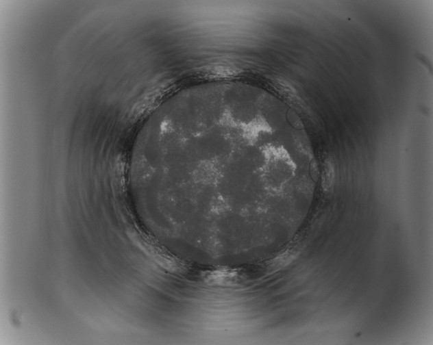 X0000101950366200808081511