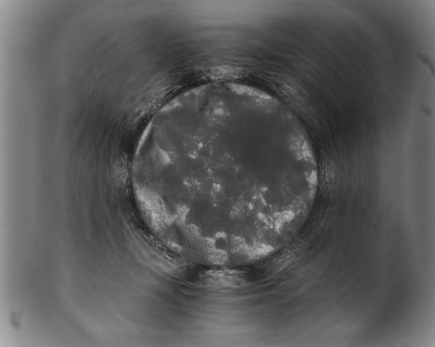 X0000101950367200808081511