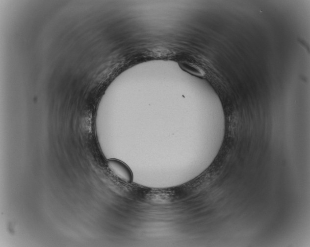 X0000101950368200808081511