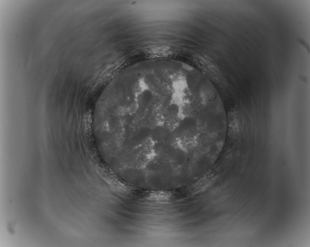 X0000101950369200808081511