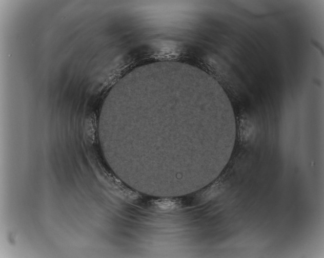 X0000101950370200808081511