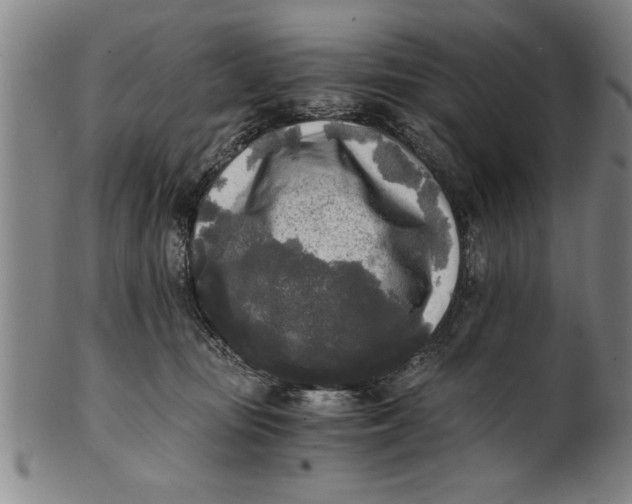 X0000101950371200808081511