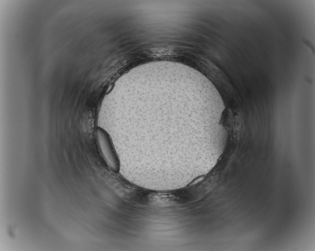 X0000101950372200808081511