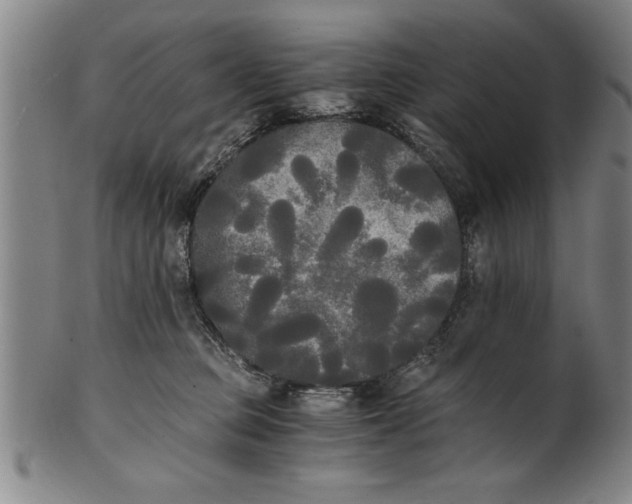 X0000101950373200808081511