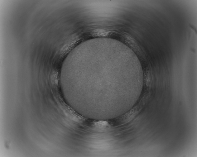 X0000101950374200808081511