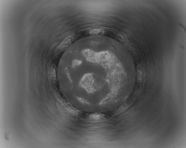 X0000101950375200808081511