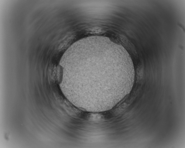 X0000101950376200808081511