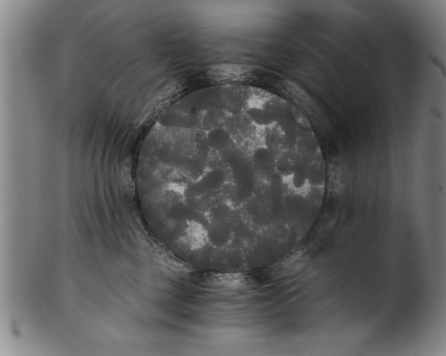 X0000101950377200808081511