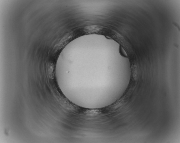 X0000101950378200808081511