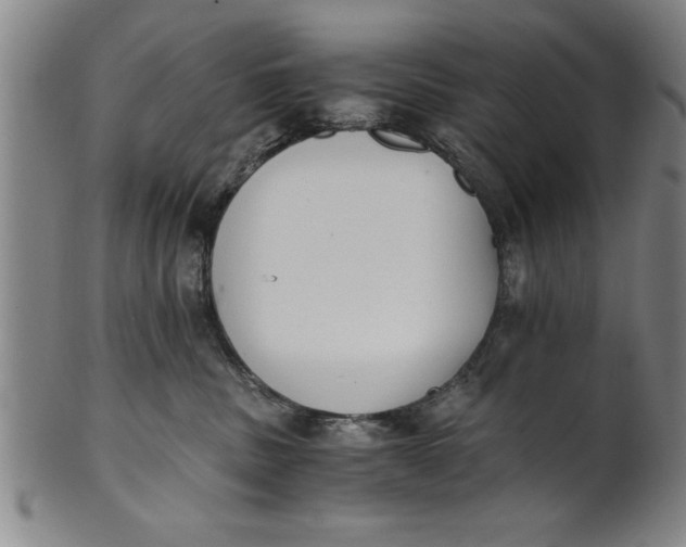 X0000101950379200808081511