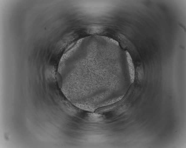 X0000101950380200808081511