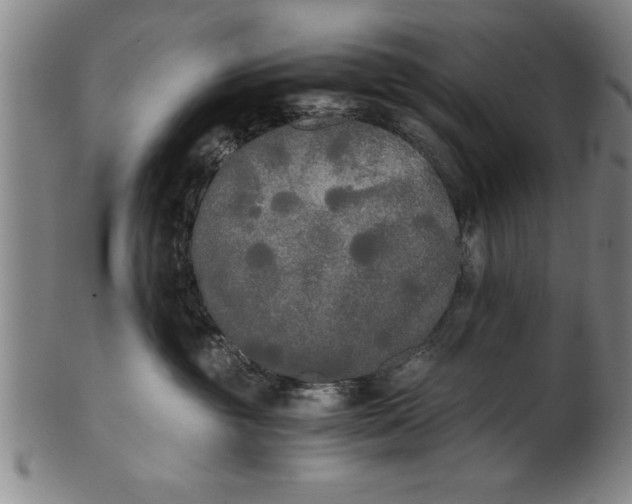 X0000101950381200808081511