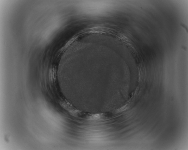 X0000101950382200808081511