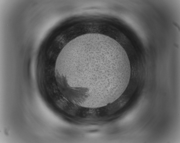 X0000101950383200808081511