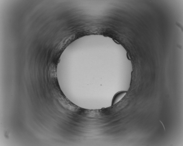 X0000101950384200808081511