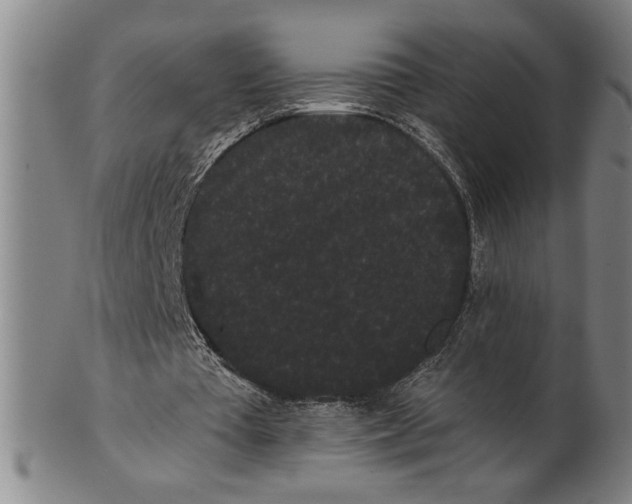 X0000101950385200808081510