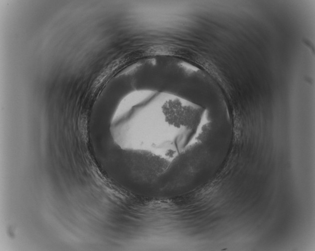 X0000101950386200808081510