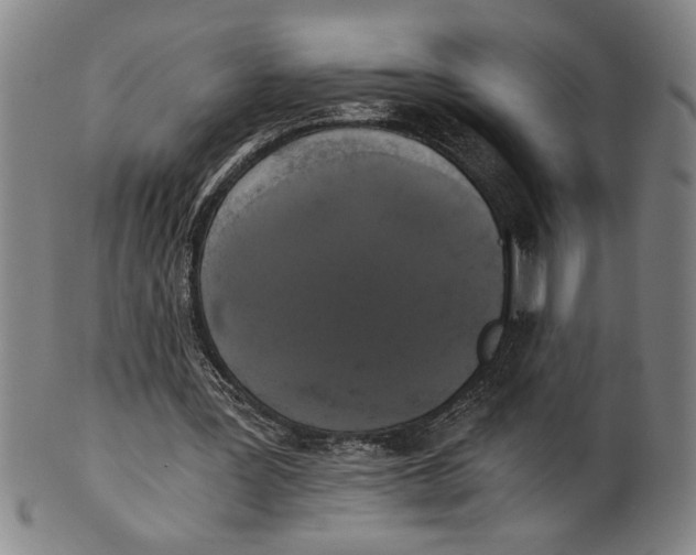 X0000101950387200808081510