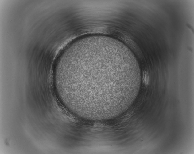 X0000101950388200808081510