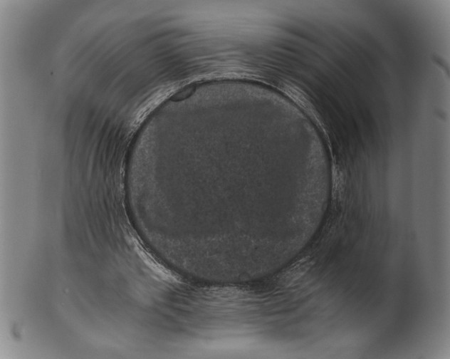 X0000101950389200808081510