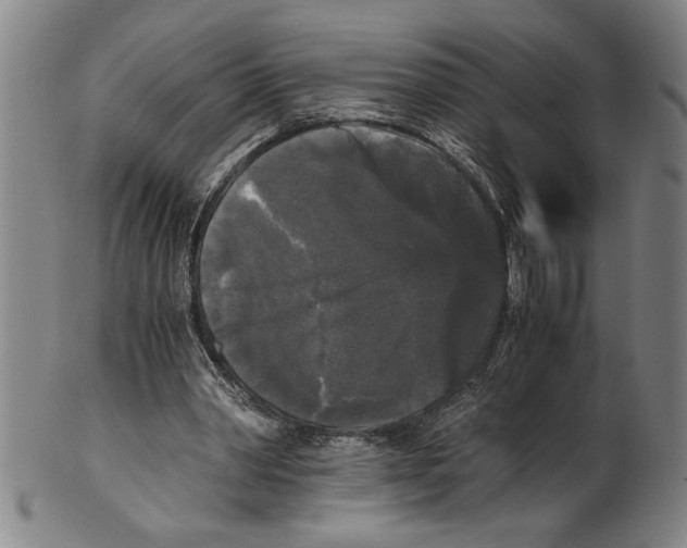 X0000101950390200808081510