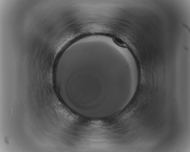 X0000101950391200808081510