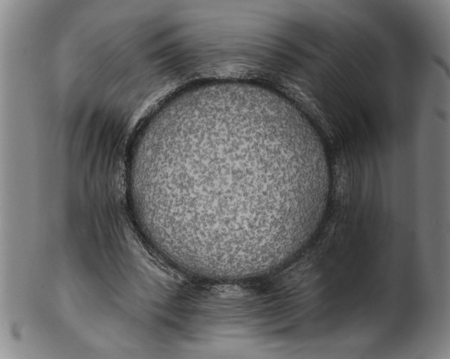 X0000101950392200808081510
