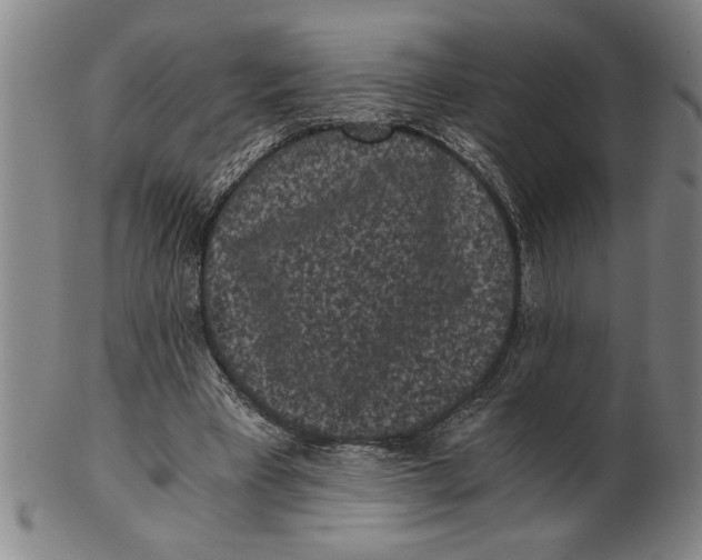 X0000101950393200808081510