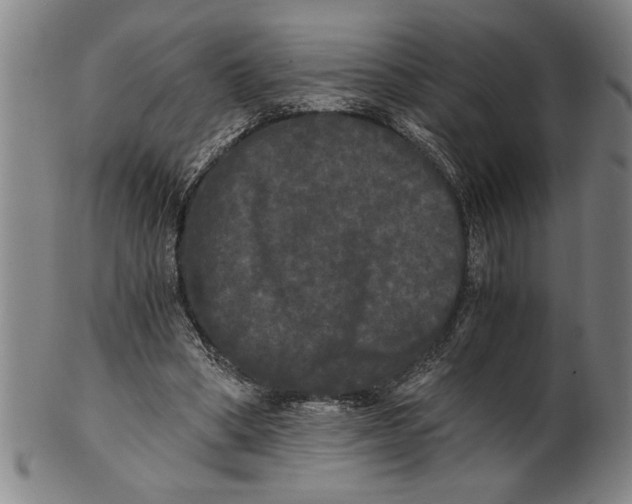 X0000101950394200808081510