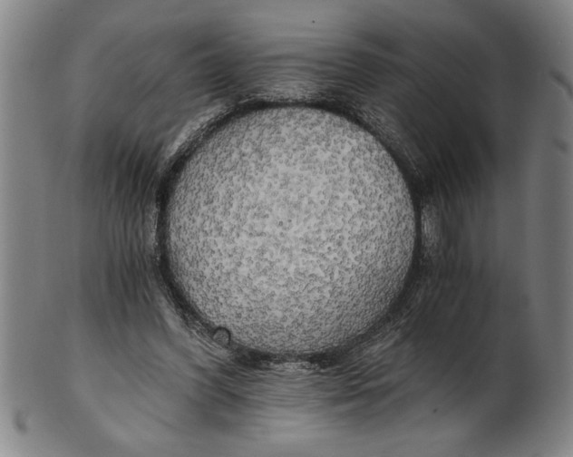 X0000101950396200808081510