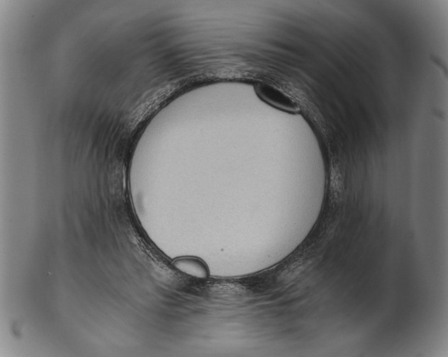 X0000101950397200808081510