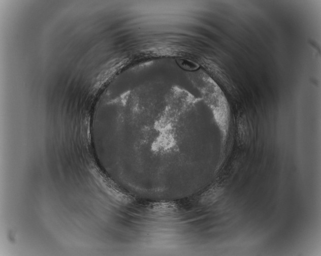 X0000101950398200808081510