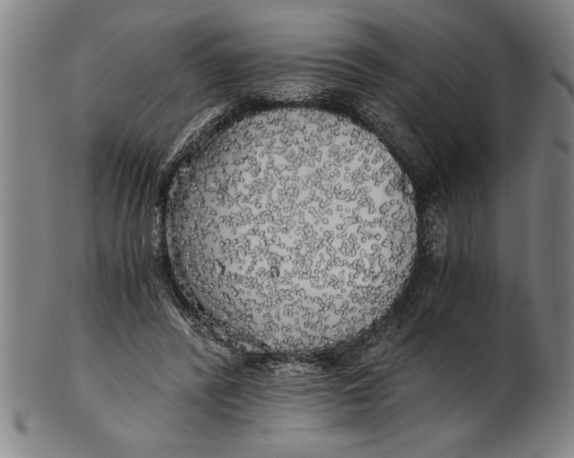 X0000101950400200808081510