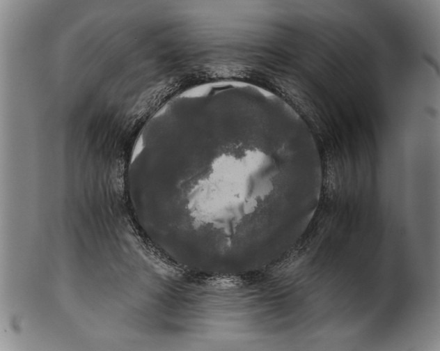 X0000101950402200808081510