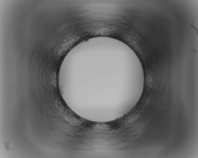 X0000101950403200808081510