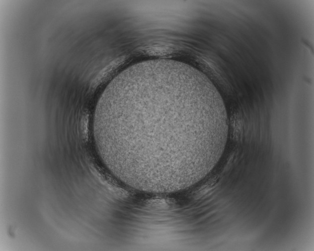 X0000101950404200808081510