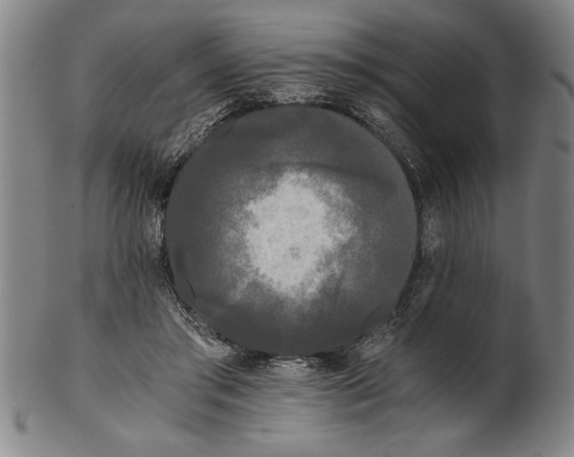 X0000101950405200808081510