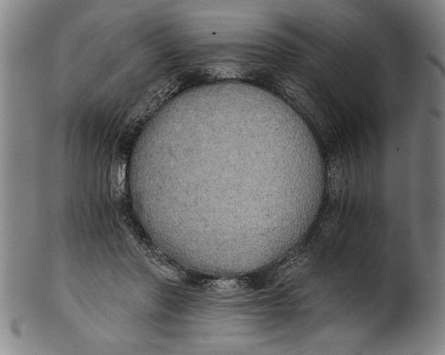 X0000101950406200808081510