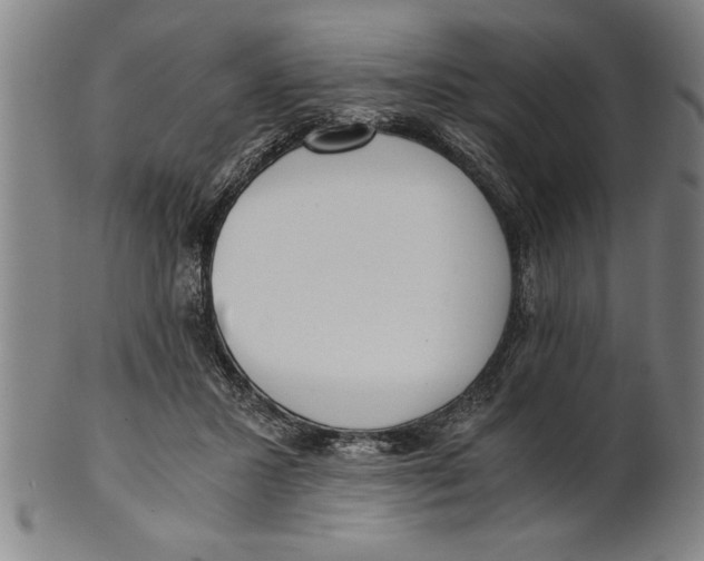 X0000101950407200808081510
