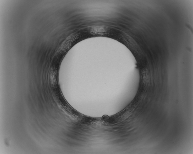 X0000101950408200808081510