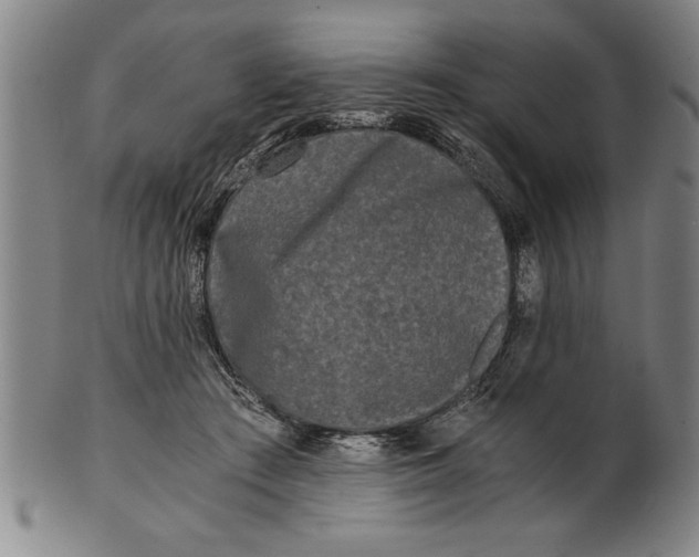 X0000101950409200808081510