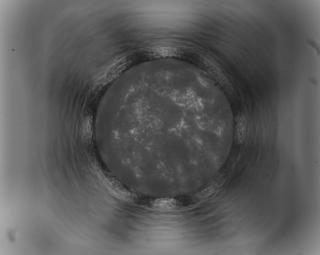 X0000101950410200808081510