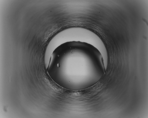 X0000101950411200808081510